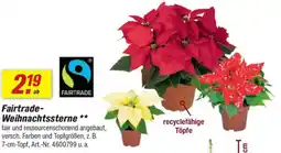toom Baumarkt Fairtrade- Weihnachtssterne Angebot