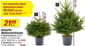 toom Baumarkt Getopfte Weihnachtsbäume Angebot