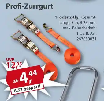 Sonderpreis Baumarkt Profi-Zurrgurt 1- oder 2-tlg. Angebot