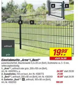 toom Baumarkt Einstabmatte „Arne“/„Bent" Angebot