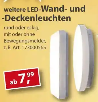 Sonderpreis Baumarkt weitere LED-Wand- und -Deckenleuchten Angebot