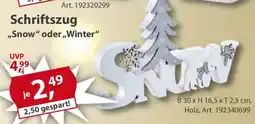 Sonderpreis Baumarkt Schriftszug ,,Snow" oder,,Winter" Angebot