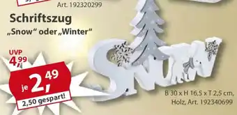 Sonderpreis Baumarkt Schriftszug ,,Snow" oder,,Winter" Angebot