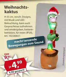 Sonderpreis Baumarkt Weihnachts- kaktus Angebot