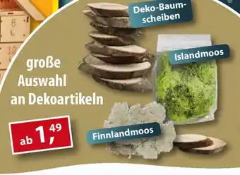 Sonderpreis Baumarkt große Auswahl an Dekoartikeln Angebot