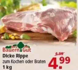 Multi Markt Bauerni Gut Dicke Rippe Angebot