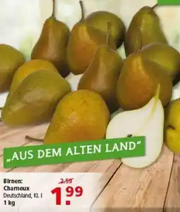 Multi Markt Birnen Chameux Angebot
