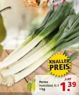 Multi Markt Porree Angebot