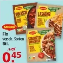 Multi Markt Maggi Fix Angebot