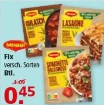 Multi Markt Maggi Fix Angebot