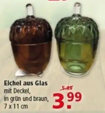 Multi Markt Eichel aus Glas Angebot