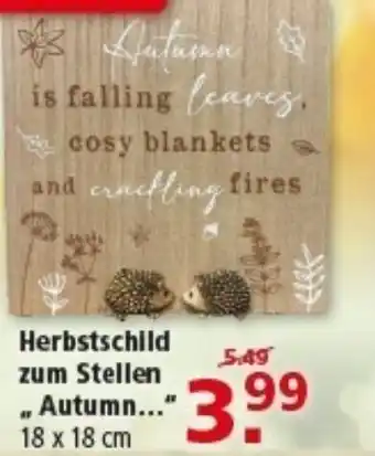 Multi Markt Herbstschild zum Stellen ,, Autumn Angebot