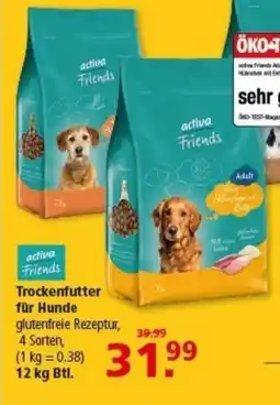 Multi Markt activa Friends Trockenfutter für Hunde Angebot
