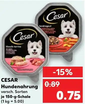 Kaufland CESAR Hundenahrung Angebot