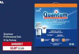 METRO Quantum Professional Salz Angebot