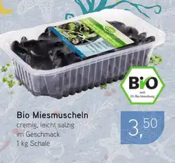 Dornseifer Bio Miesmuscheln Angebot