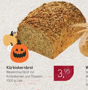 Dornseifer Kürbiskernbrot Angebot