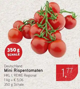 Dornseifer Mini Rispentomaten Angebot