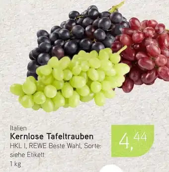 Dornseifer Kernlose Tafeltrauben Angebot