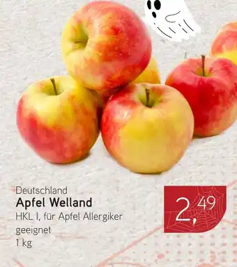 Dornseifer Apfel Welland Angebot