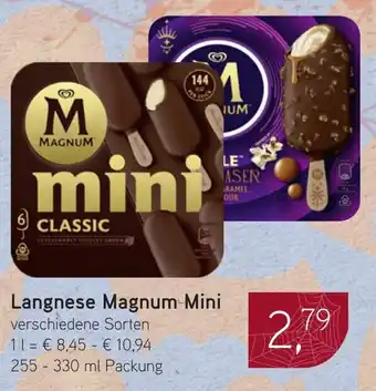 Dornseifer Langnese Magnum Mini Angebot