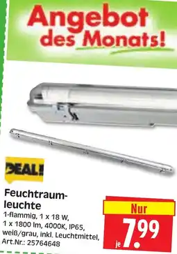 Herkules Baumarkt Feuchtraumleuchte Angebot
