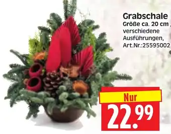 Herkules Baumarkt Grabschale Angebot