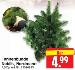 Herkules Baumarkt Tannenbunde Nobilis, Nordmann Angebot