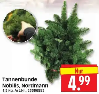 Herkules Baumarkt Tannenbunde Nobilis, Nordmann Angebot