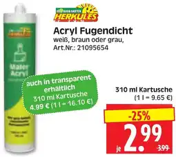 Herkules Baumarkt BAU& GARTEN HERKULES Acryl Fugendicht Angebot