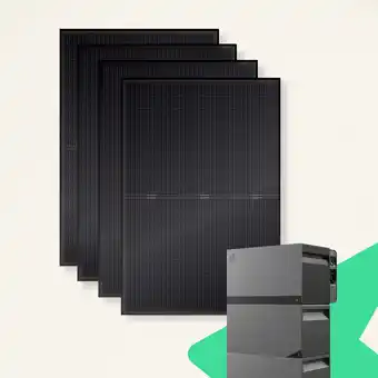 Netto Marken-Discount priwatt Balkonkraftwerk - 4 Solarmodule - 1800 Wp - ohne Halterung - Avocado Orbit M - 6,33 kWh Angebot