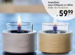 CITTI Markt Tenderflame Lotus 10 Natural oder White Angebot