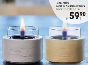 CITTI Markt Tenderflame Lotus 10 Natural oder White Angebot