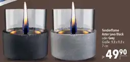 CITTI Markt Tenderflame Aster Lava Black oder Grey Angebot