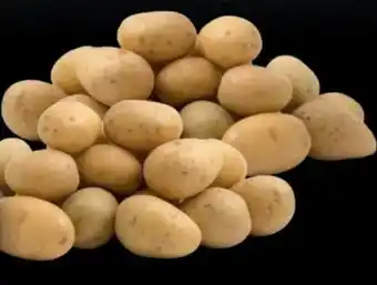 Handelshof Kartoffeln Drillinge Angebot