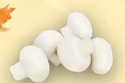 Handelshof Champignons Angebot