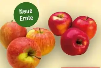 Handelshof Äpfel Neue Ernte Angebot