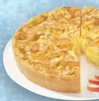 Handelshof Erlenbacher Feinster Apfelkuchen Angebot