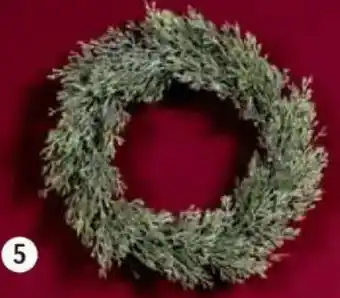 CITTI Markt Hängekranz Tanne Angebot