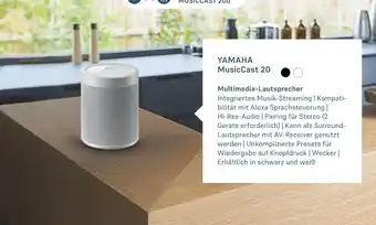 Euronics Yamaha musiccast 20 Angebot