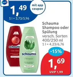 Budni Schauma color glanz shampoo Angebot