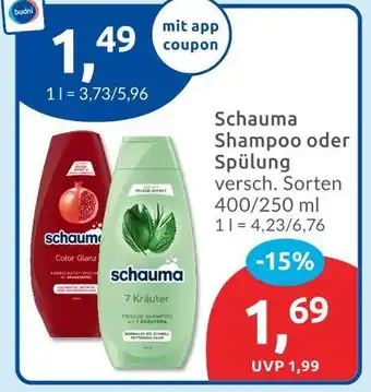 Budni Schauma color glanz shampoo Angebot