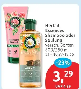 Budni Herbal essences shampoo Angebot