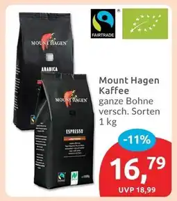 Budni Mount hagen arabica Angebot
