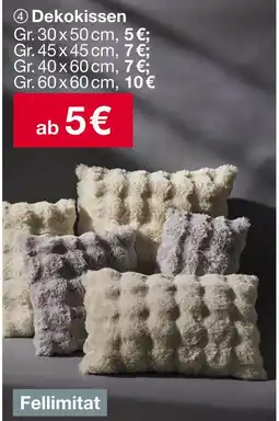 Woolworth Dekokissen Angebot