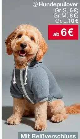 Woolworth Hundepullover Angebot