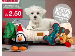 Woolworth Woolworth hundespielzeug Angebot
