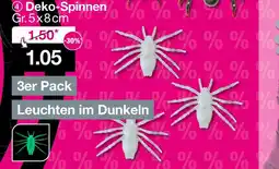 Woolworth Deko-spinnen Angebot