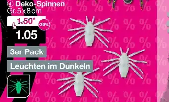 Woolworth Deko-spinnen Angebot