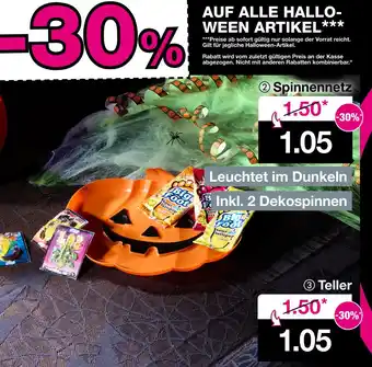 Woolworth Spinnennetz Angebot